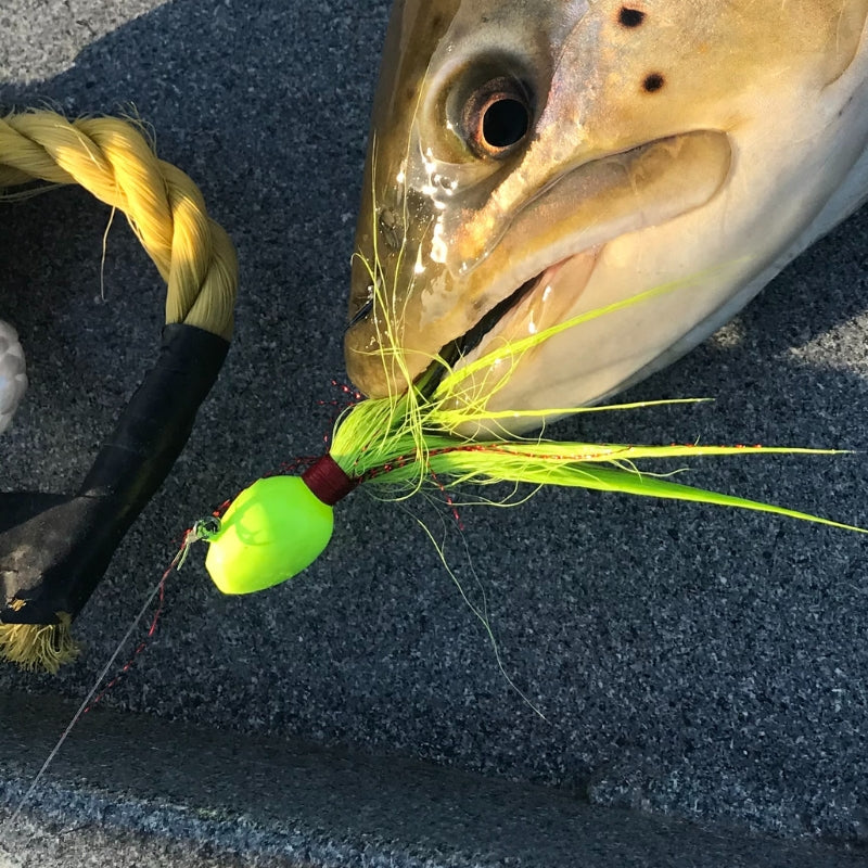 Walleye Jigs by I1BAITS